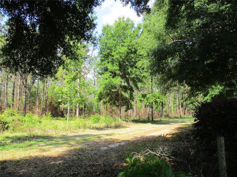Picture of 14272 SW 112Th Circle, Dunnellon FL 34432