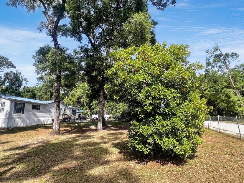 Picture of 229 SW Burgundy Lane, Fort White FL 32038
