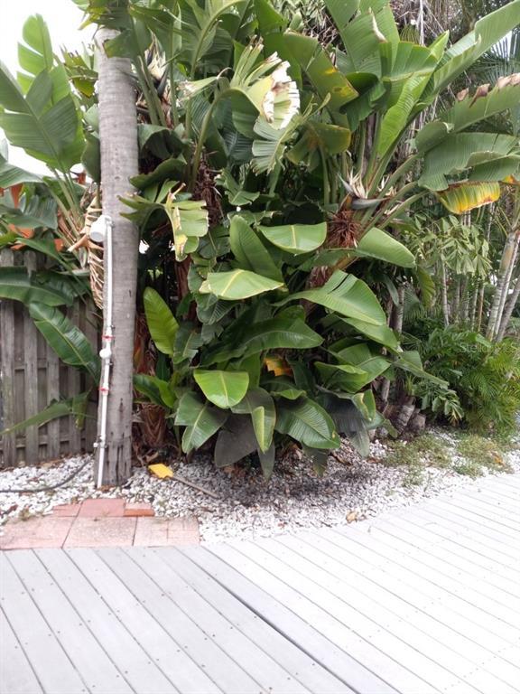 Picture of 14555 N Bayshore Drive, Madeira Beach FL 33708