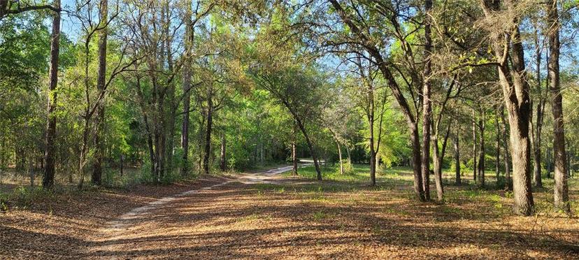 Picture of 24515 SW 61St Place, Newberry FL 32669