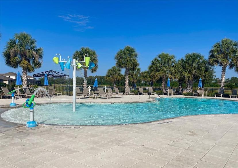 Picture of 11626 Blue Woods Drive, Riverview FL 33569