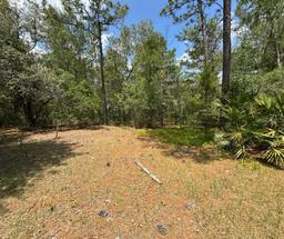 Picture of 140 Sand Lake Drive, Pomona Park, FL 32181