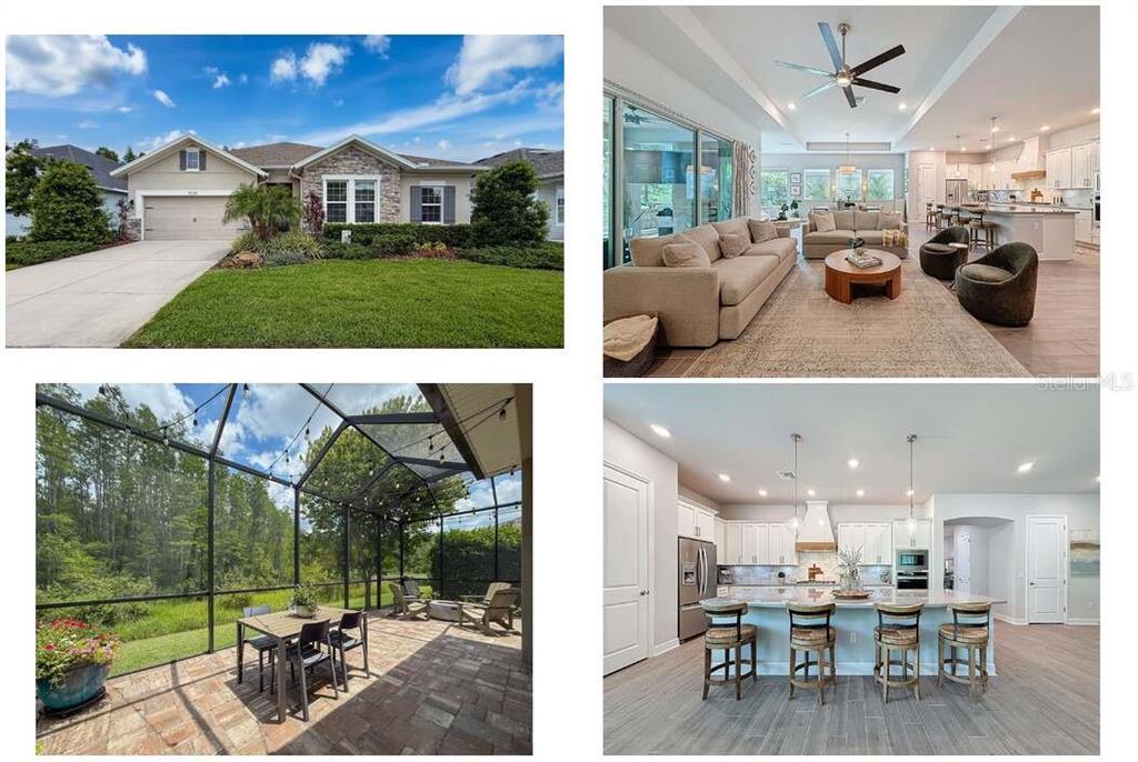 Picture of 15355 Renaissance Avenue, Odessa, FL 33556