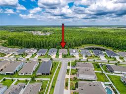 Picture of 15355 Renaissance Avenue, Odessa, FL 33556
