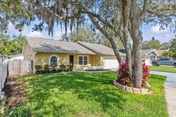 Picture of 1017 Hamilton Avenue, Tarpon Springs, FL 34689