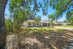Picture of 18902 Spring Hollow Drive, Lutz, FL 33559