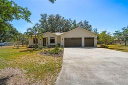 Picture of 18902 Spring Hollow Drive, Lutz, FL 33559
