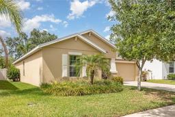 Picture of 10036 Crested Fringe Drive, Riverview, FL 33578