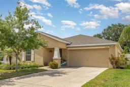 Picture of 10036 Crested Fringe Drive, Riverview, FL 33578
