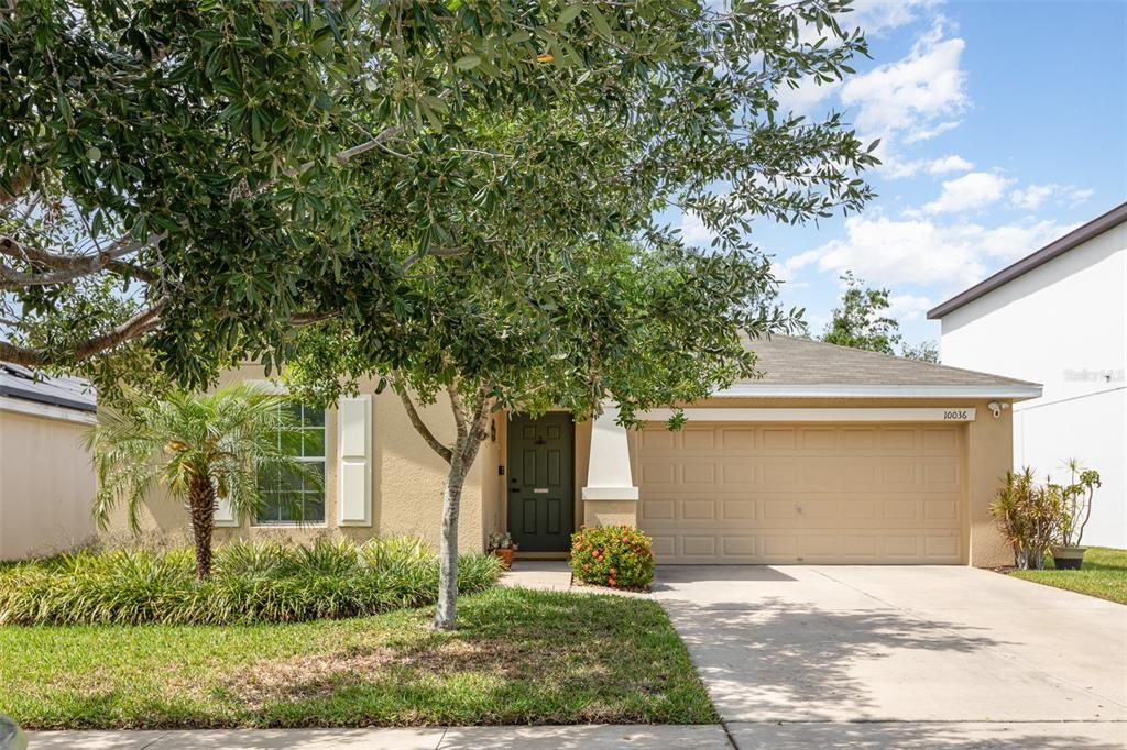 Picture of 10036 Crested Fringe Drive, Riverview, FL 33578