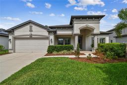 Picture of 8320 Bluevine Sky Drive, Land O Lakes, FL 34637