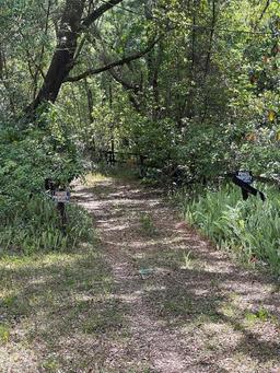 Picture of 288 Mcmillon Drive, Orange City, FL 32763