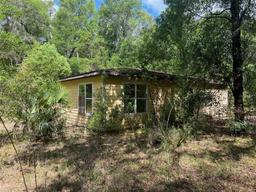 Picture of 288 Mcmillon Drive, Orange City, FL 32763