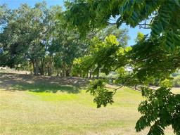 Picture of 30732 Lipizzan Terrace, Mount Dora, FL 32757