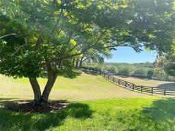 Picture of 30732 Lipizzan Terrace, Mount Dora, FL 32757