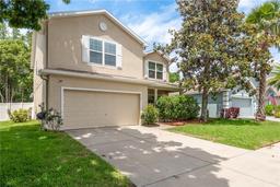 Picture of 6125 Desert Peace Avenue, Land O Lakes, FL 34639