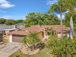 Picture of 4519 Swallowtail Drive, New Port Richey, FL 34653