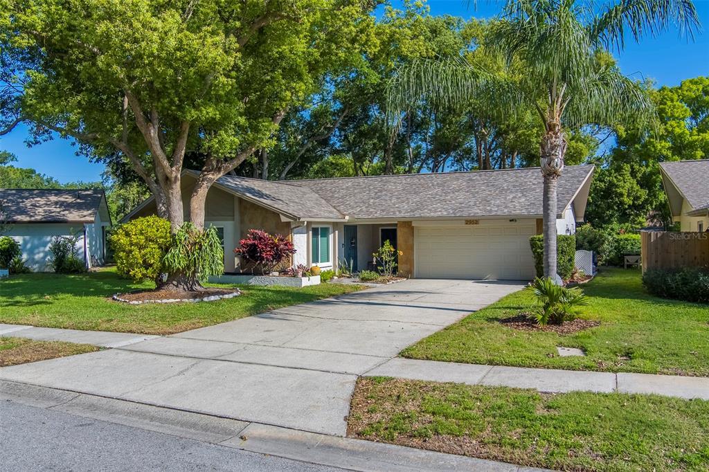 Picture of 2952 Macalpin Drive N, Palm Harbor, FL 34684