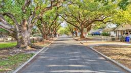 Picture of 1421 Camphor Drive, Lakeland, FL 33803