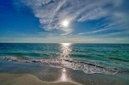 Picture of 19530 Gulf Boulevard Unit 4A, Indian Shores, FL 33785