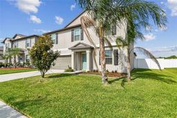 Picture of 13529 Wild Ginger Street, Riverview, FL 33579