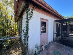 Picture of 10709 Dowry Avenue, Tampa, FL 33615