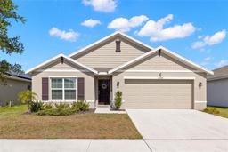 Picture of 16750 Sunburst Lake Street, Wimauma, FL 33598