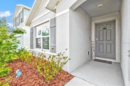 Picture of 16746 Parker River Street, Wimauma, FL 33598