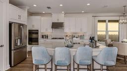 Picture of 29837 Imperati Boulevard, Wesley Chapel, FL 33543