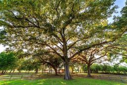 Picture of 2899 SW 66 Street, Ocala, FL 34476