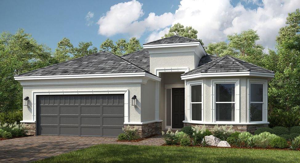Picture of 29807 Imperati Boulevard, Wesley Chapel, FL 33543