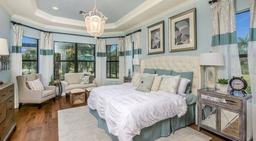 Picture of 29807 Imperati Boulevard, Wesley Chapel, FL 33543