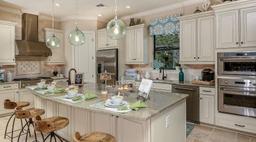 Picture of 29807 Imperati Boulevard, Wesley Chapel, FL 33543