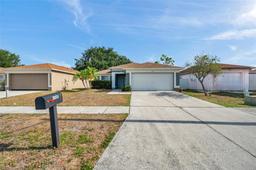 Picture of 1408 Birchstone Avenue, Brandon, FL 33511