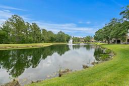 Picture of 18939 Duquesne Drive, Tampa, FL 33647