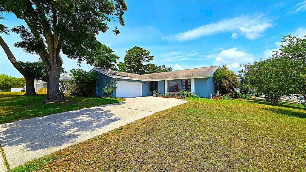 Picture of 3907 Orchard Hill Circle, Palm Harbor, FL 34684