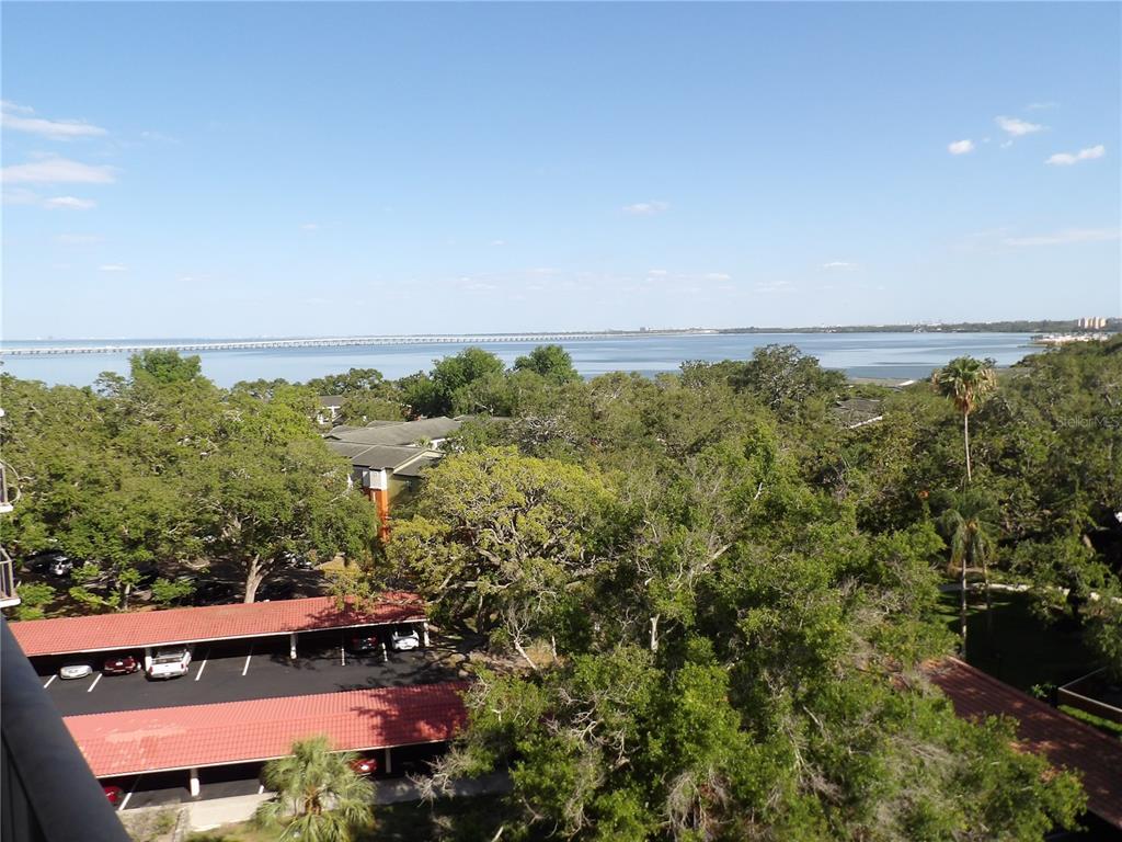 Picture of 2699 Seville Boulevard Unit 802, Clearwater, FL 33764