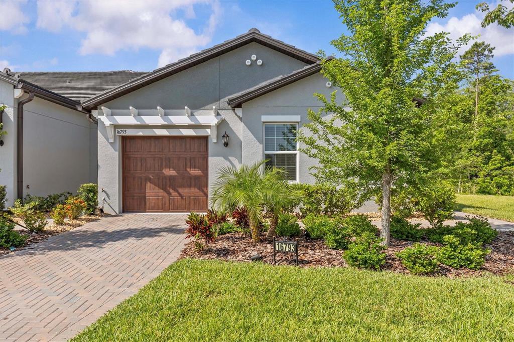 Picture of 16793 Forge Surf Street, Land O Lakes, FL 34638