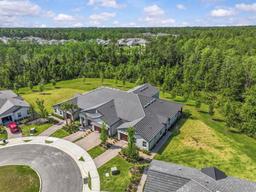 Picture of 16793 Forge Surf Street, Land O Lakes, FL 34638
