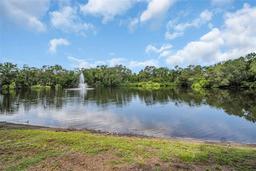 Picture of 714 1St Court, Palm Harbor, FL 34684