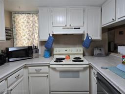Picture of 1051 S Highland Street Unit D-E, Mount Dora, FL 32757