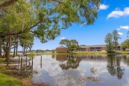 Picture of 13751 Juniper Blossom Drive, Tampa, FL 33618