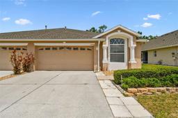 Picture of 31105 Whitlock Drive, Wesley Chapel, FL 33543