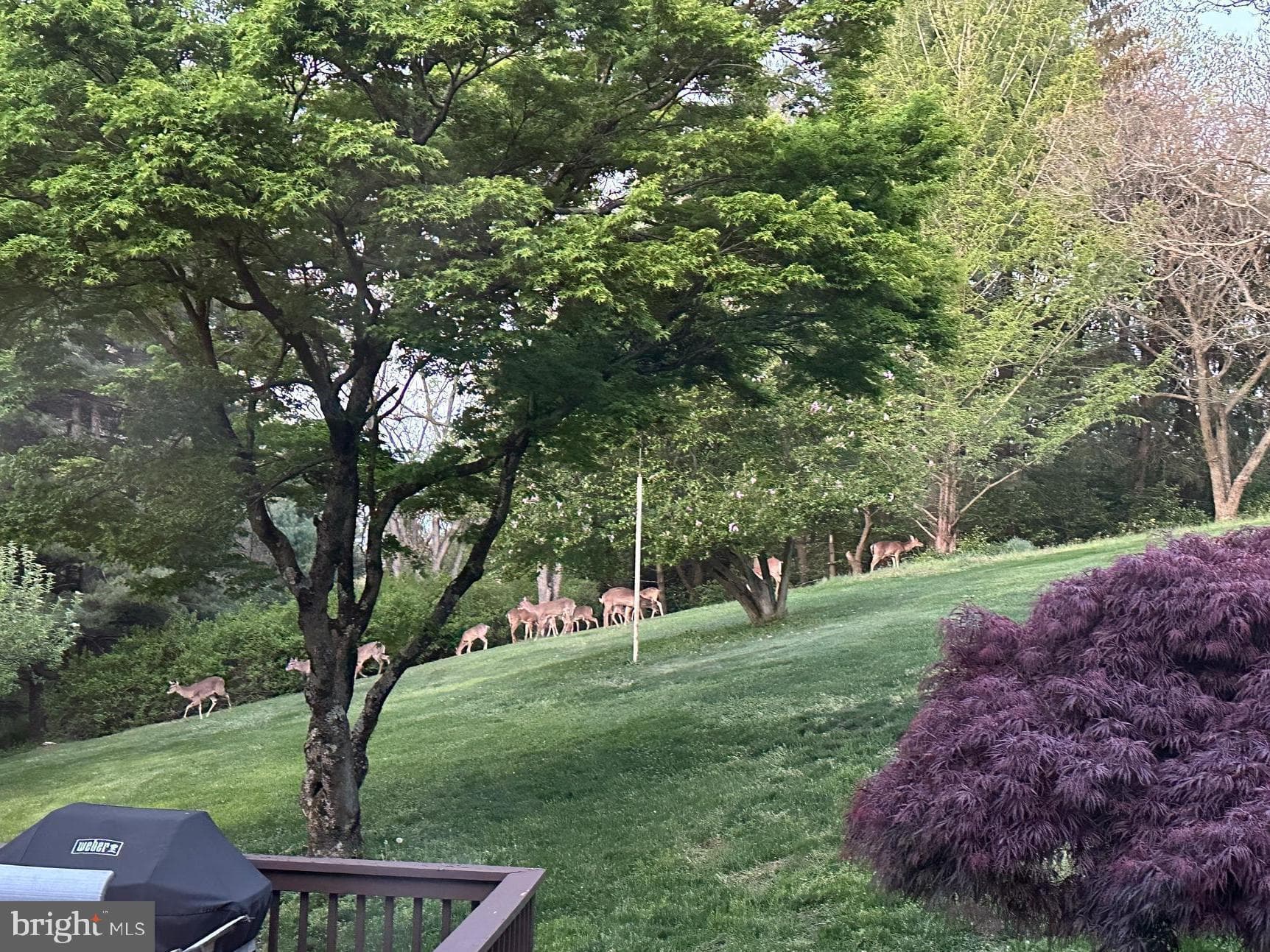 Home for sale at 8390 Blooming Grove Road, Glen Rock, Pennsylvania 17327, photo 68 of 71